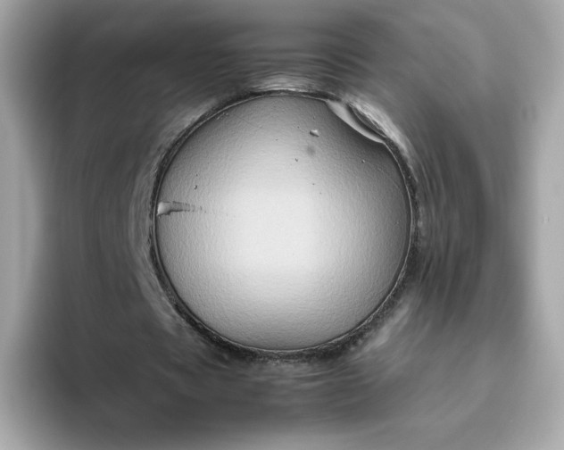 X0000094780529200711301548