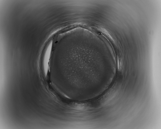 X0000094780531200711301548