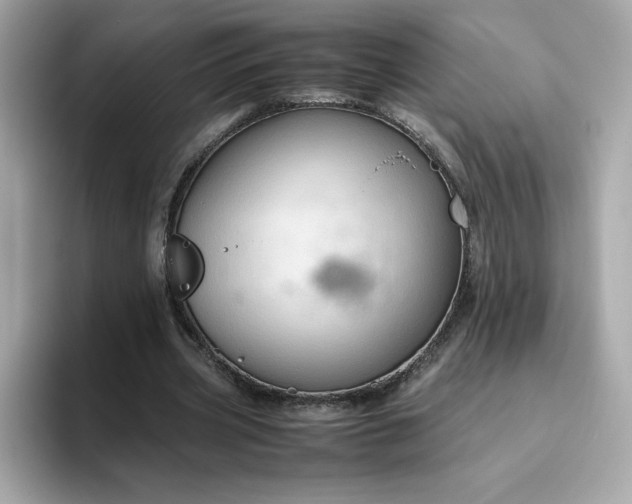 X0000094780533200711301548