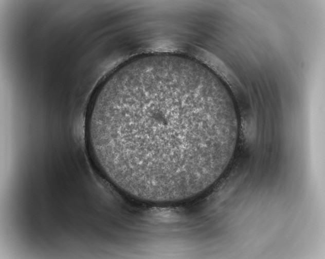X0000094780534200711301548