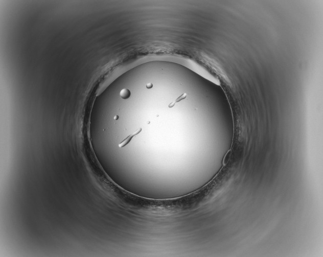 X0000094780538200711301548