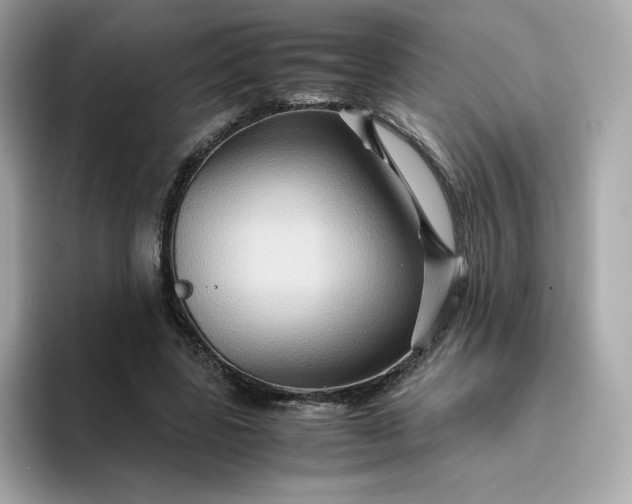 X0000094780539200711301548