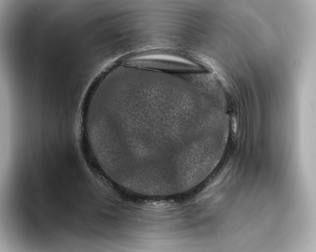X0000094780540200711301548