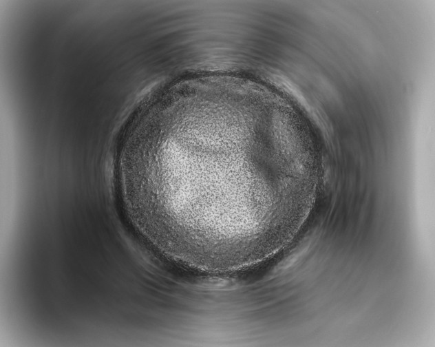 X0000094780542200711301548