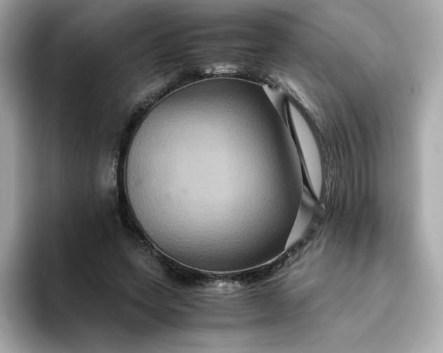 X0000094780543200711301548