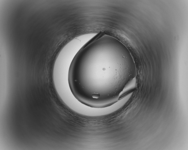 X0000094780546200711301548