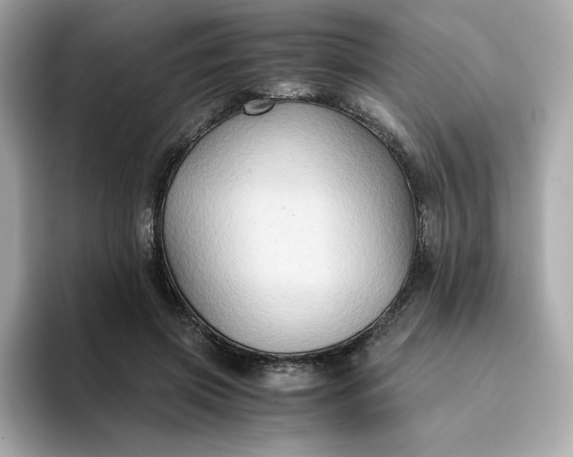 X0000094780549200711301548