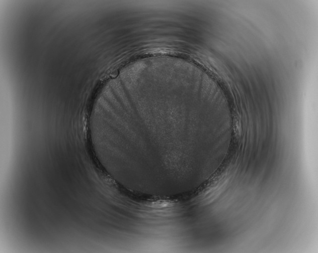 X0000094780551200711301548