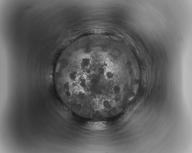 X0000094780553200711301548