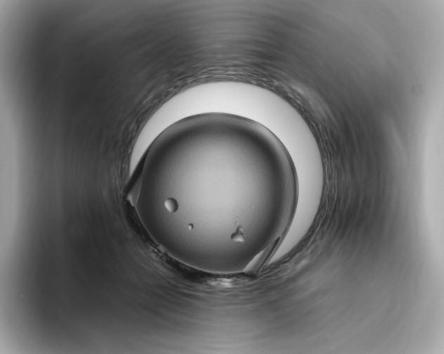 X0000094780558200711301548