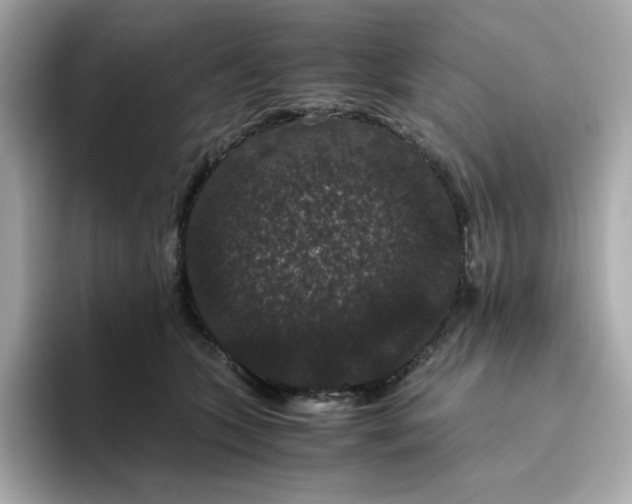 X0000094780563200711301548