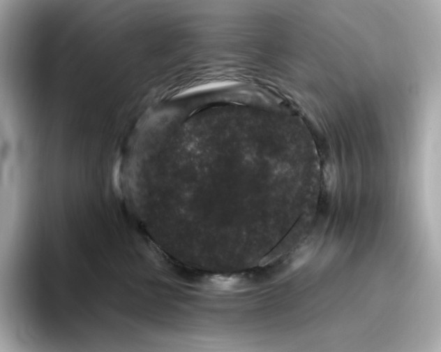 X0000094780570200711301548
