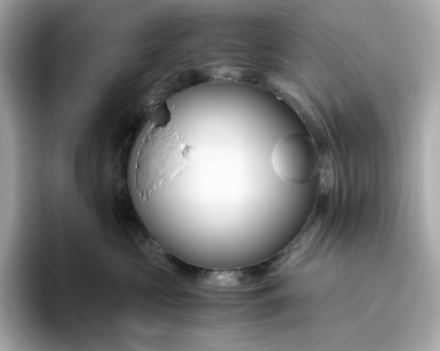 X0000094780573200711301548
