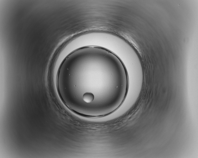 X0000094780579200711301548