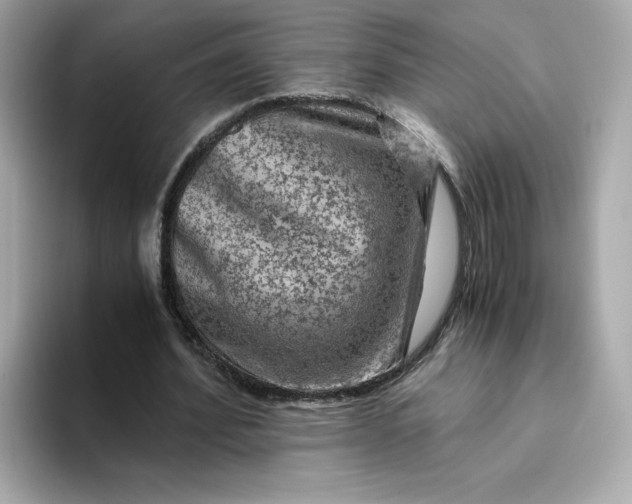 X0000094780580200711301548