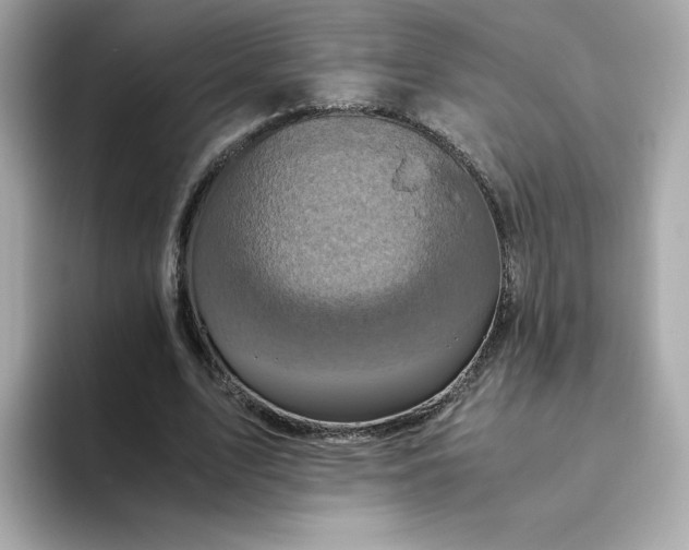 X0000094780583200711301548