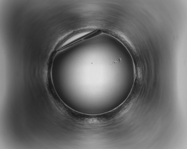 X0000094780588200711301548