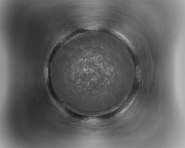 X0000094780589200711301548