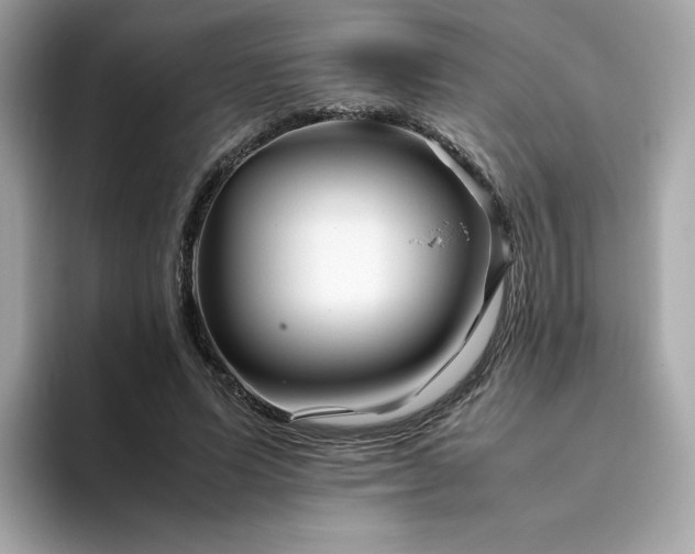 X0000094780591200711301548