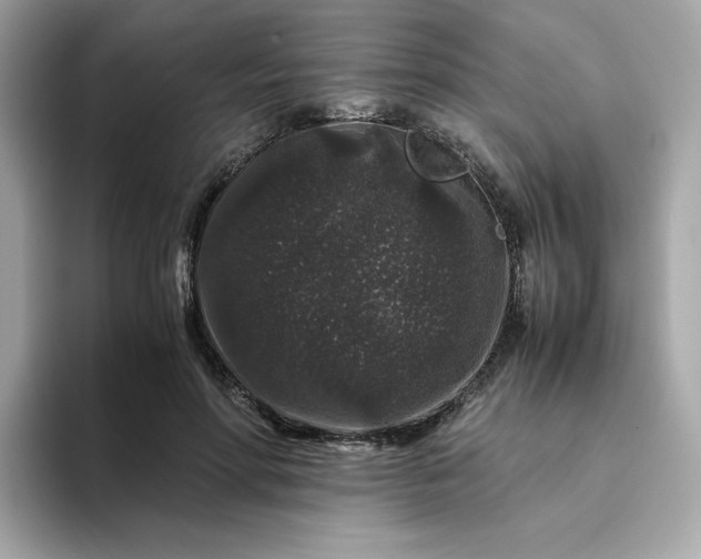 X0000094780598200711301548