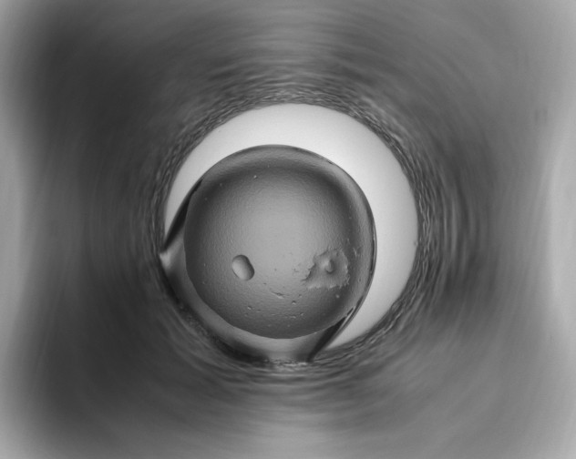 X0000094780605200711301547
