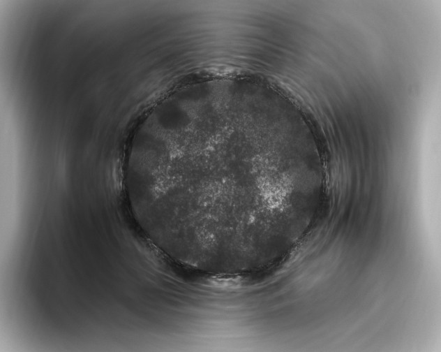 X0000094780606200711301547