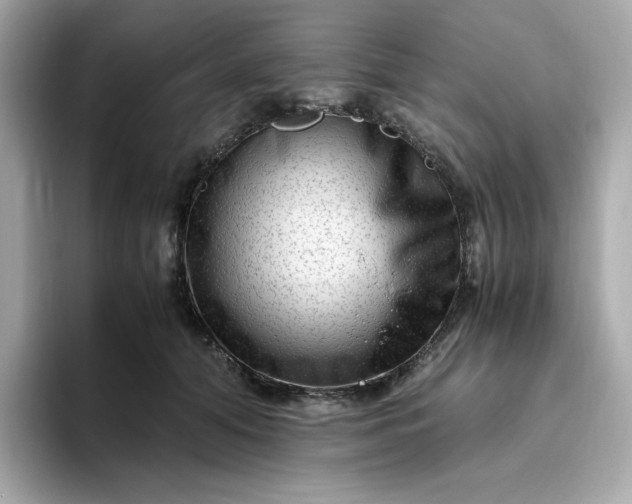 X0000094780608200711301547