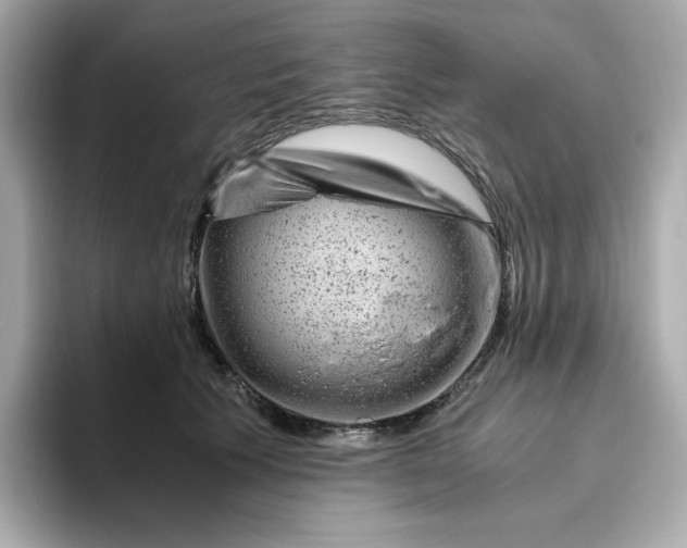 X0000094780609200711301547