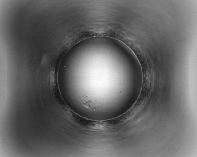 X0000094780612200711301547