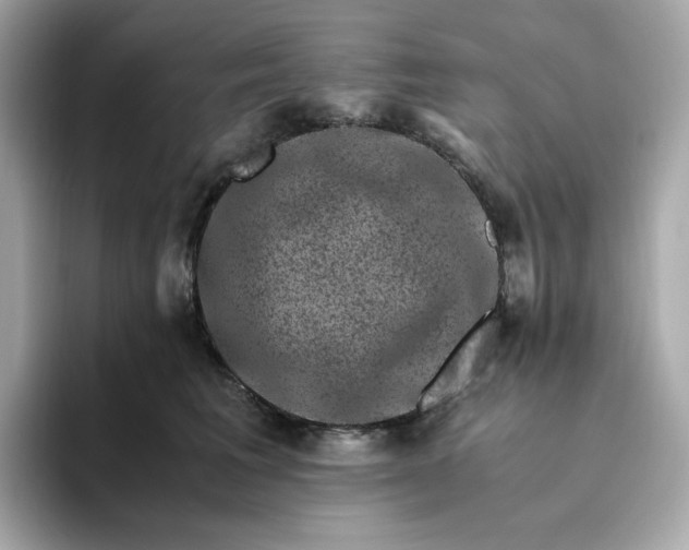 X0000094780613200711301547