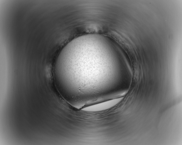X0000094780616200711301547