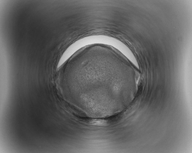 X0000094780617200711301547