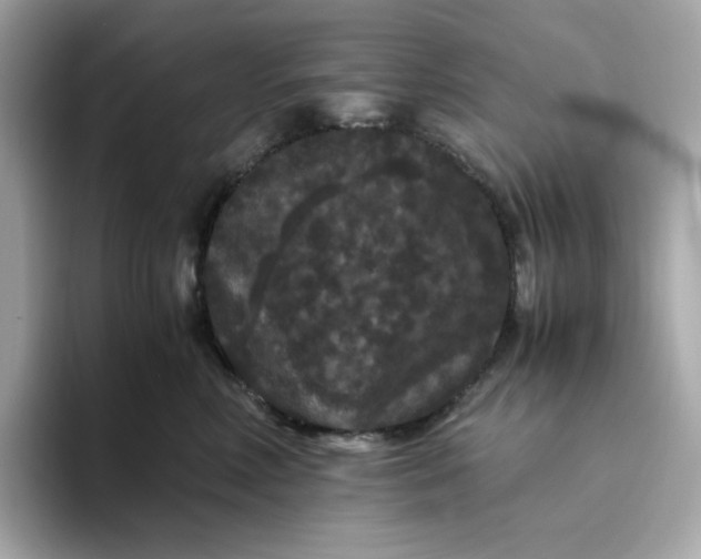 X0000094780618200711301547