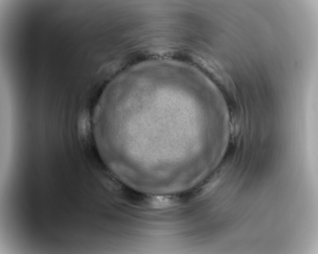 X0000094780623200711301547