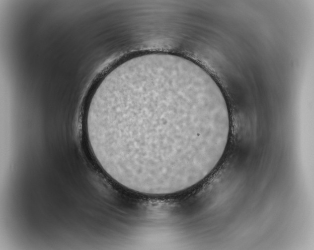 X0000094780632200711301547