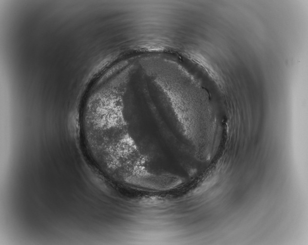 X0000094780634200711301547