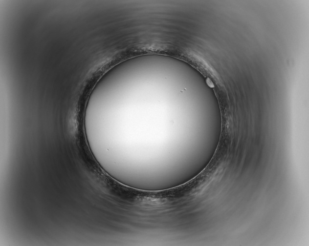 X0000094780635200711301547