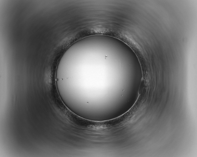 X0000094780639200711301547