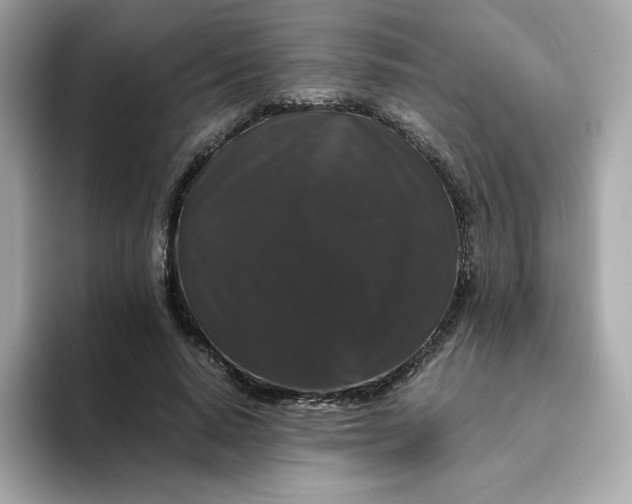 X0000094780640200711301547