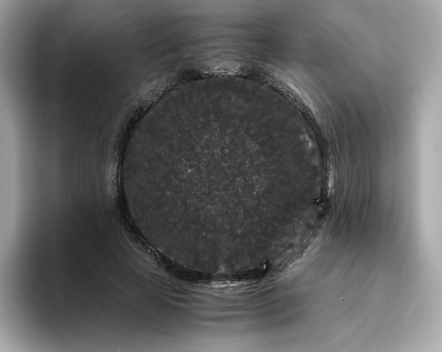 X0000094780641200711301547