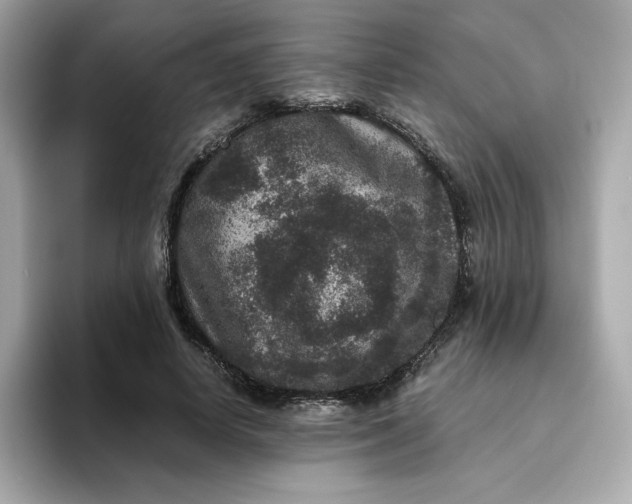 X0000094780642200711301547