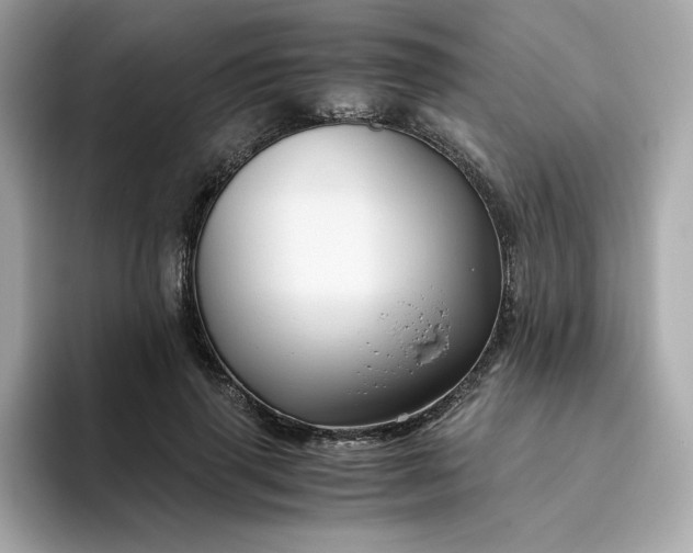 X0000094780645200711301547
