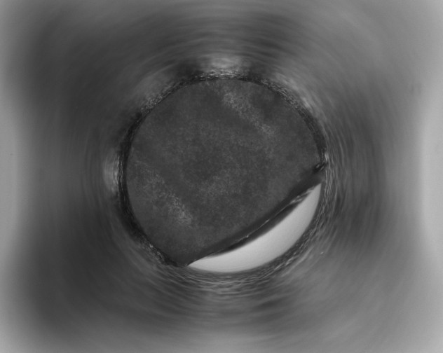 X0000094780647200711301547