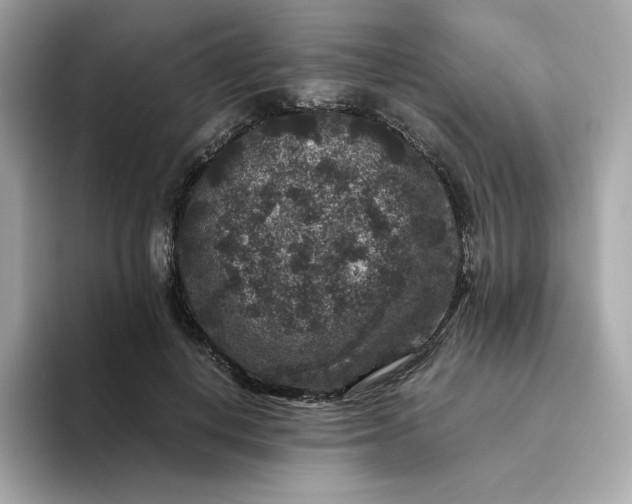 X0000094780648200711301547