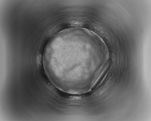X0000094780649200711301547
