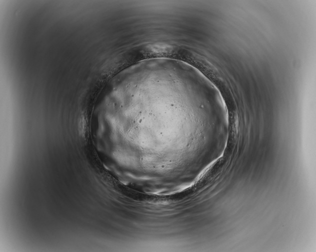 X0000094780651200711301547