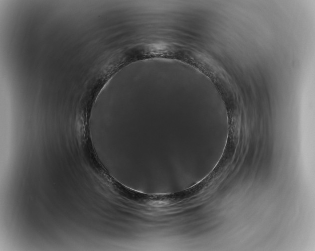 X0000094780653200711301547