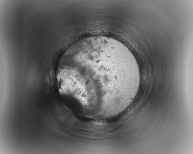 X0000094780659200711301547
