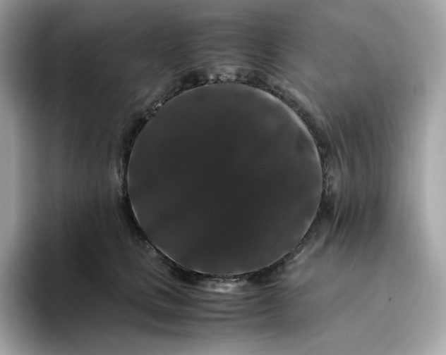 X0000094780661200711301547