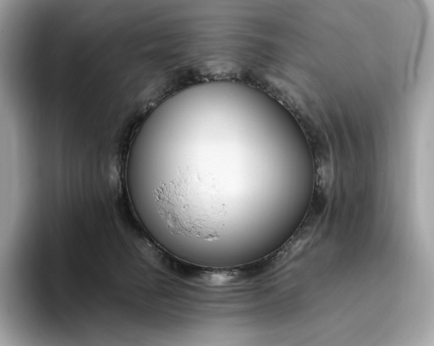 X0000094780662200711301547